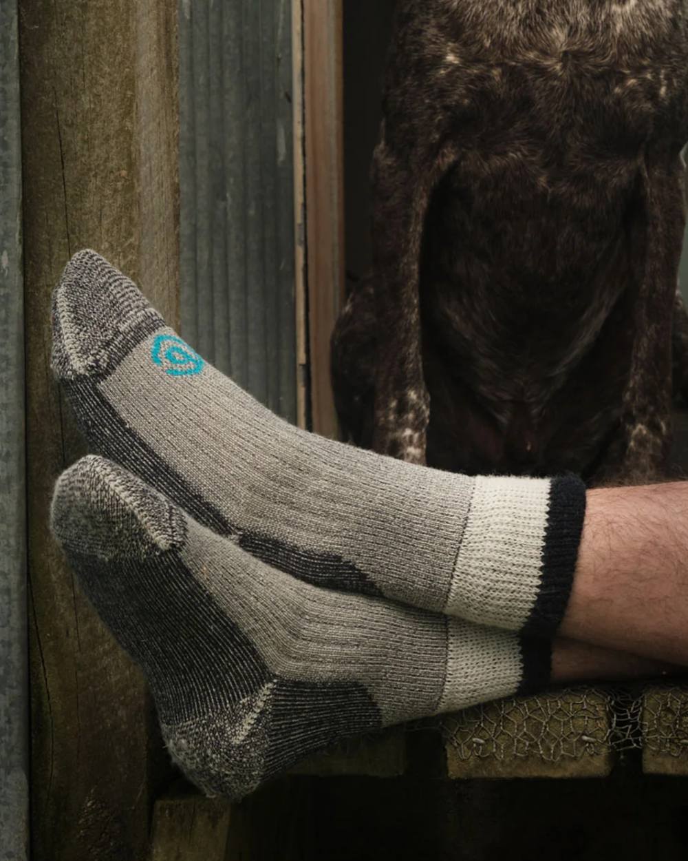 Grey coloured Betacraft Merino Work Calf Socks on outdoor background