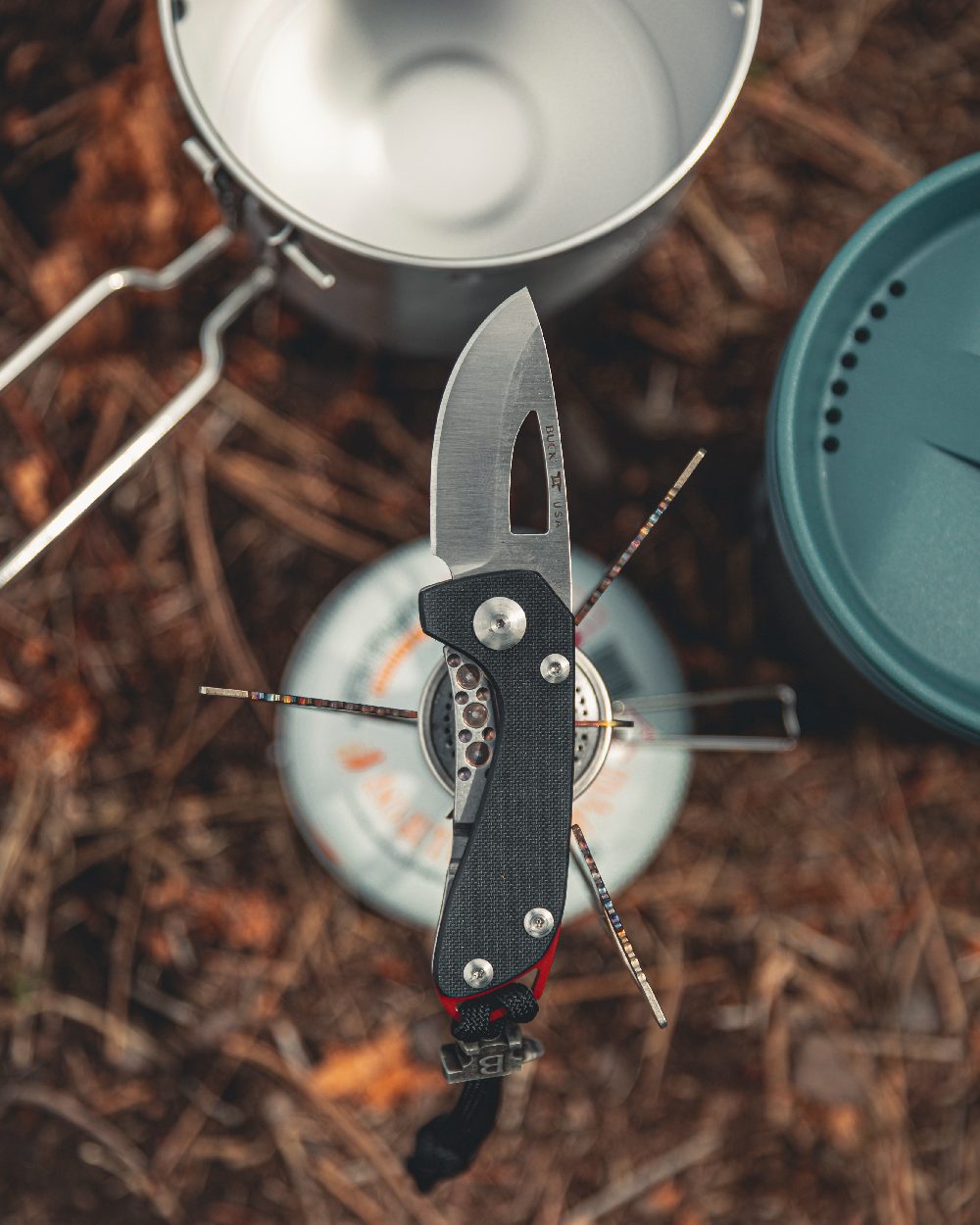 Black coloured Buck Budgie Knife on forest background
