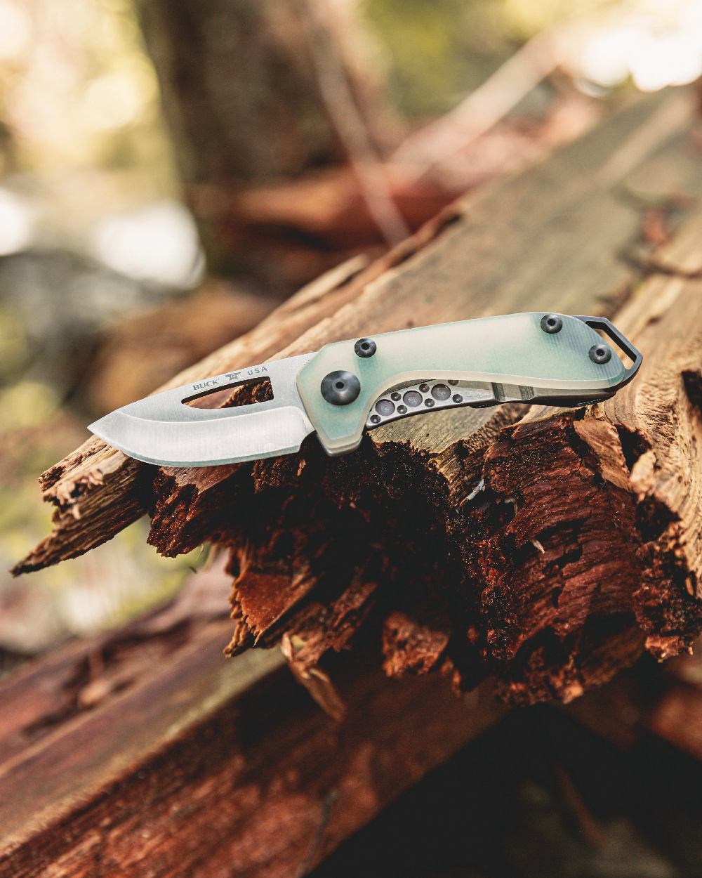 Natural coloured Buck Budgie Knife on wood background