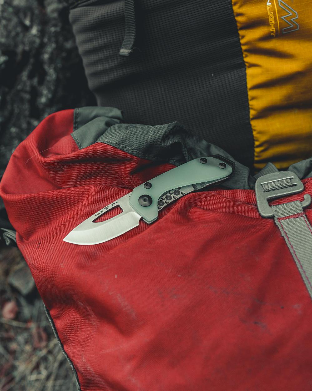 Natural coloured Buck Budgie Knife on forest background