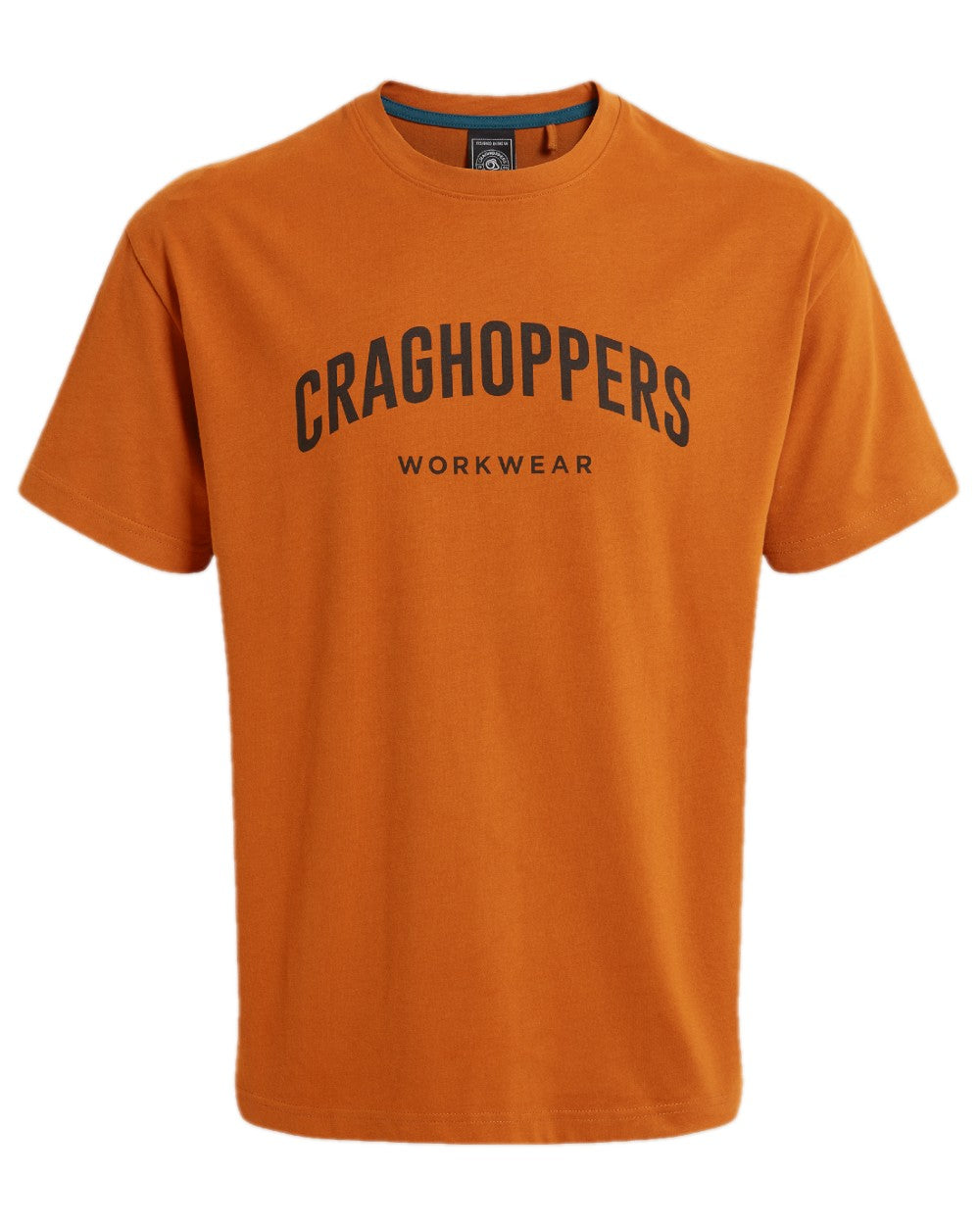 Potters Clay Coloured Craghoppers Expert Mens Batley Workwear T-Shirt on white background