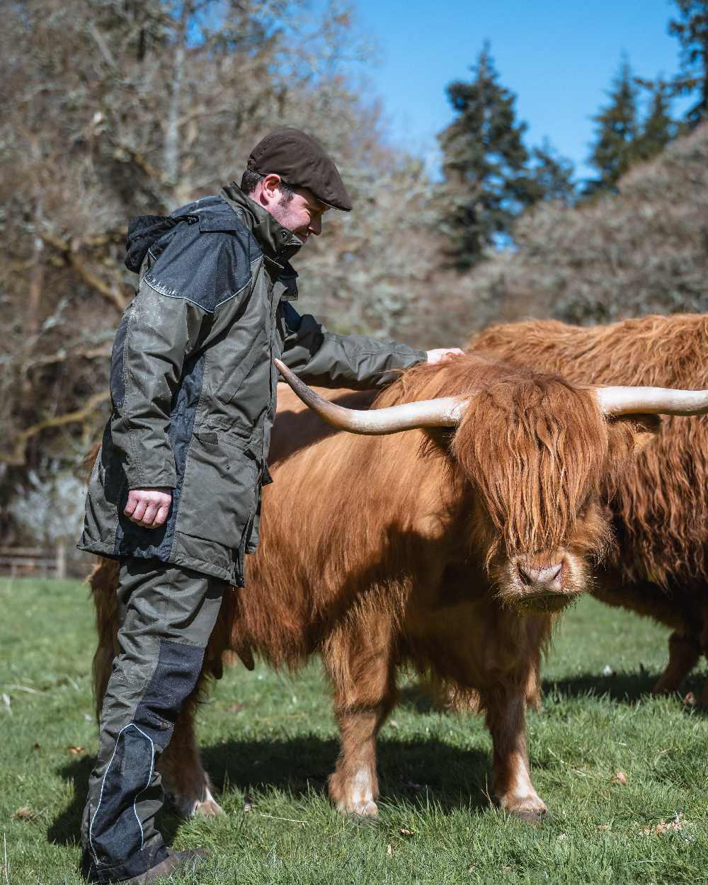 Dark Olive Coloured Hoggs of Fife Field Tech Waterproof Trousers on forest background