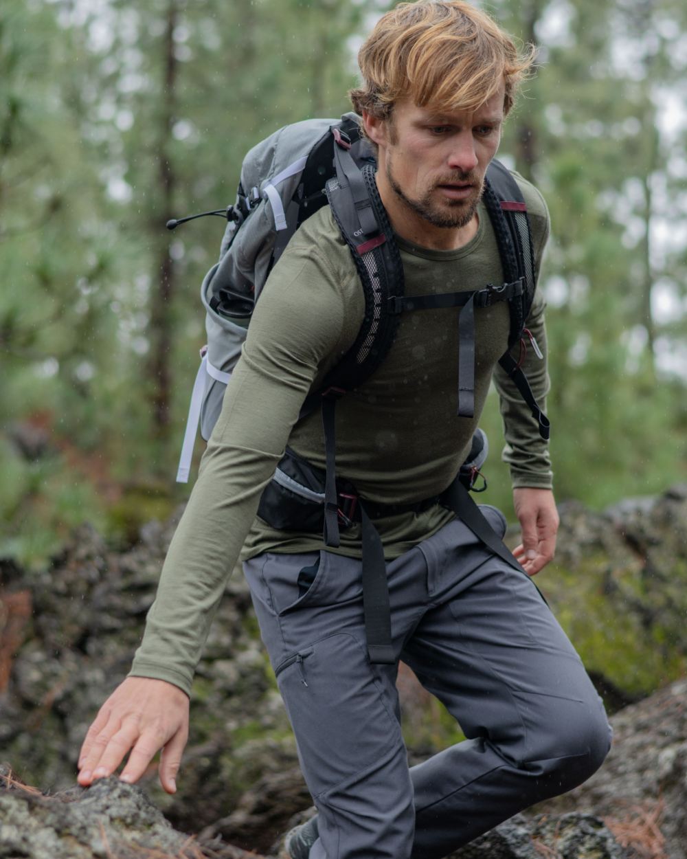 Loden Coloured Icebreaker Mens Merino 200 Oasis Crewe Thermal Top on forest background