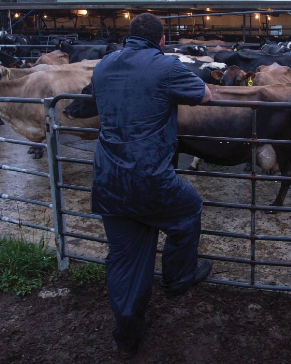 Navy coloured Kaiwaka Mens AgTex Overtrousers on poultry background