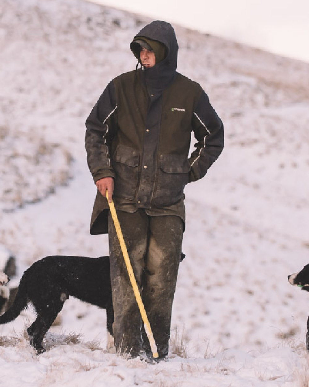 Olive coloured Kaiwaka Mens Stormforce Winter Jacket on snow background