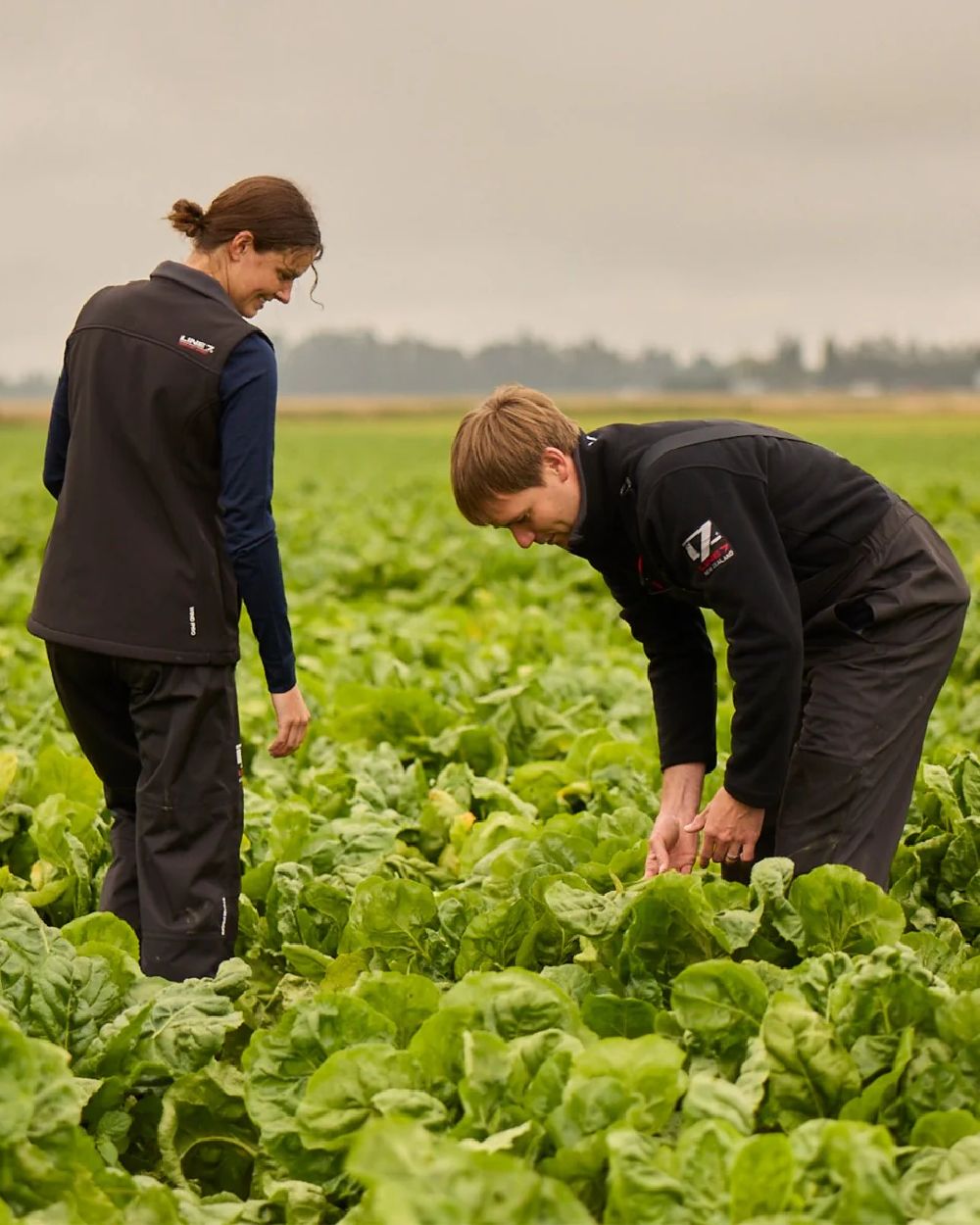 Black Coloured Line 7 Mens Territory Wind Pro Half Zip Fleece Jacket on farm background