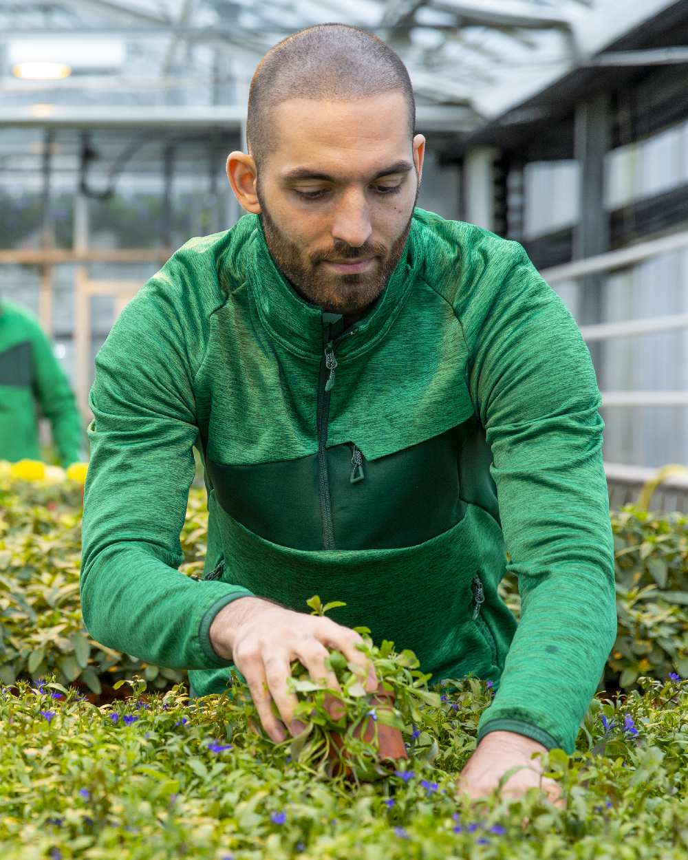 Grass Green Coloured Mascot Workwear Mens Accelerate Fleece Jumper With Half Zip on farm background