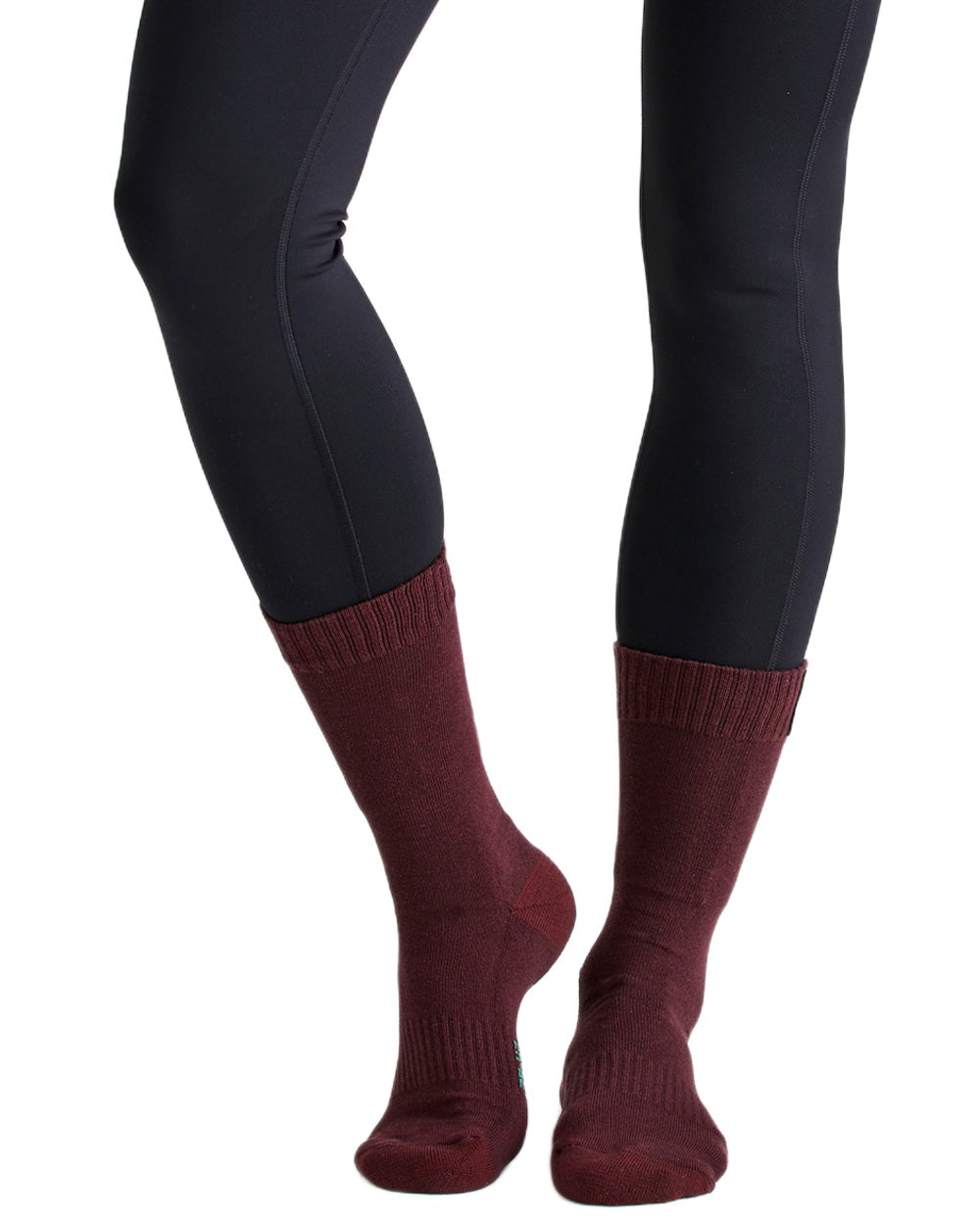 Oxblood Multi Coloured Ridgeline Cotton Work Socks Mid Length On A White Background
