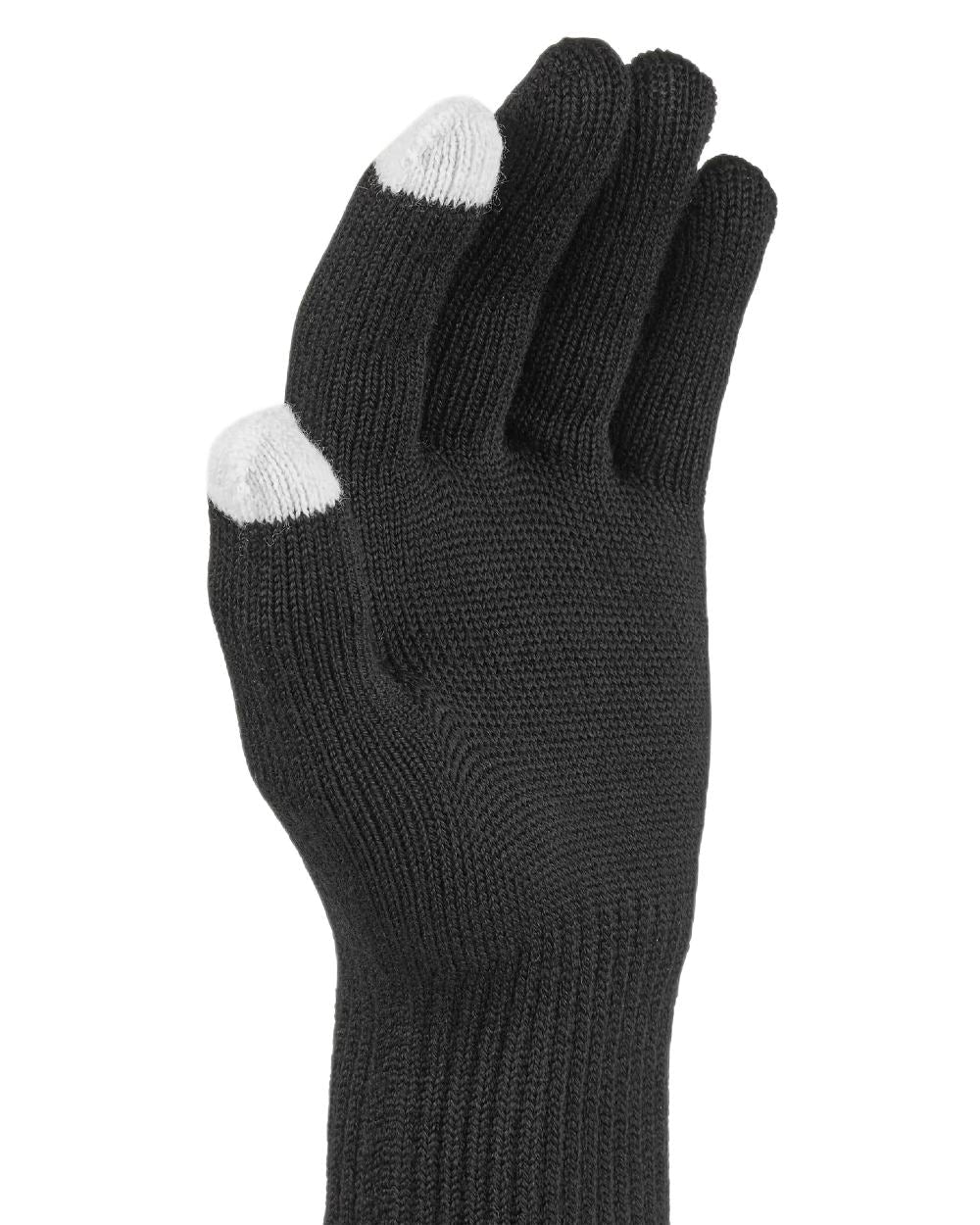 Black Coloured Sealskinz Hanworth Solo Merino Glove on white background