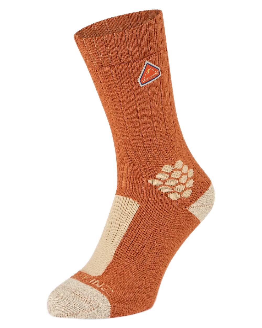Orange Coloured Sealskinz Scarning Wool Mid Length Twisted Hiking Sock on white background