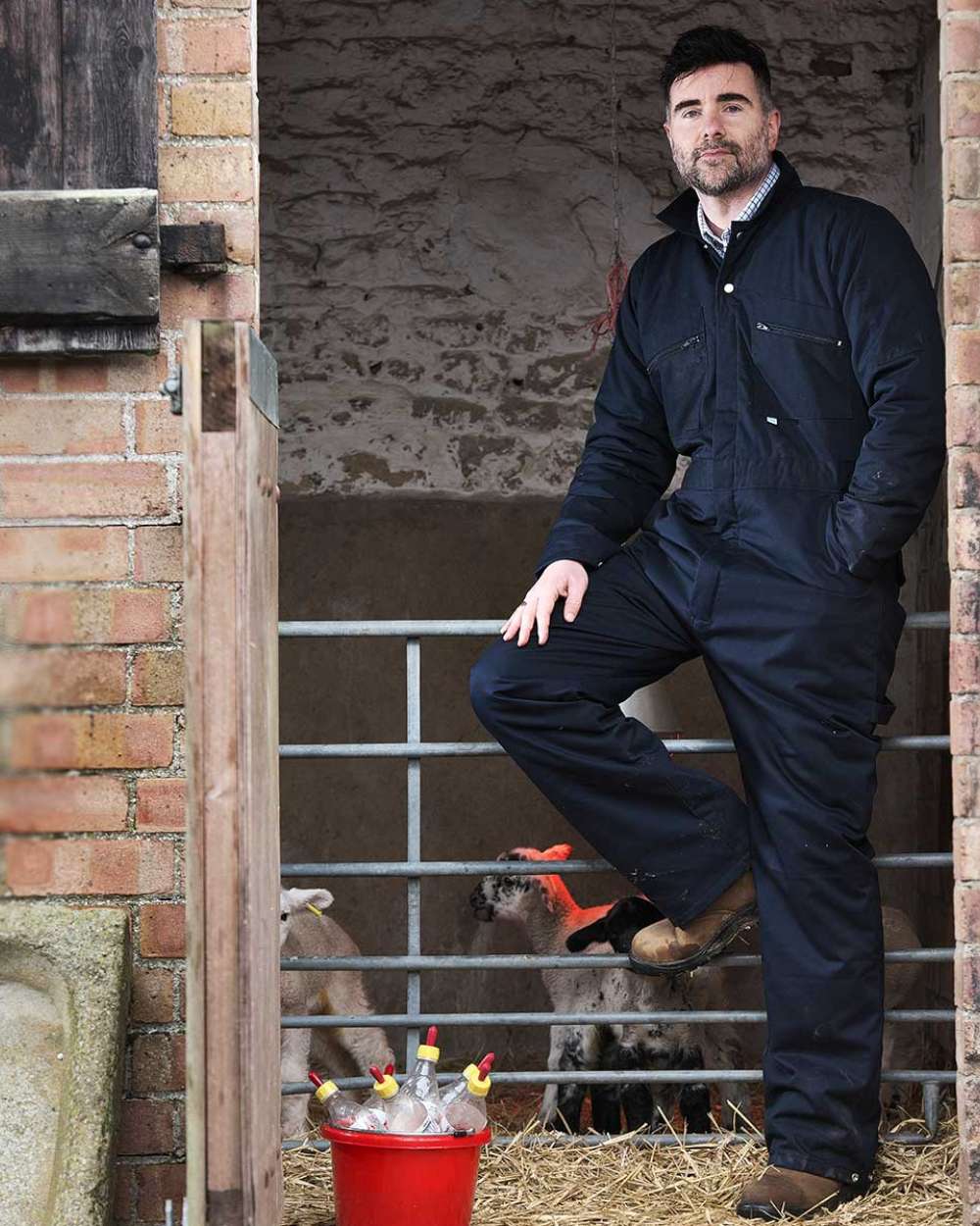 Navy Coloured Fort Quilted Padded Boilersuit On A Shelter Background