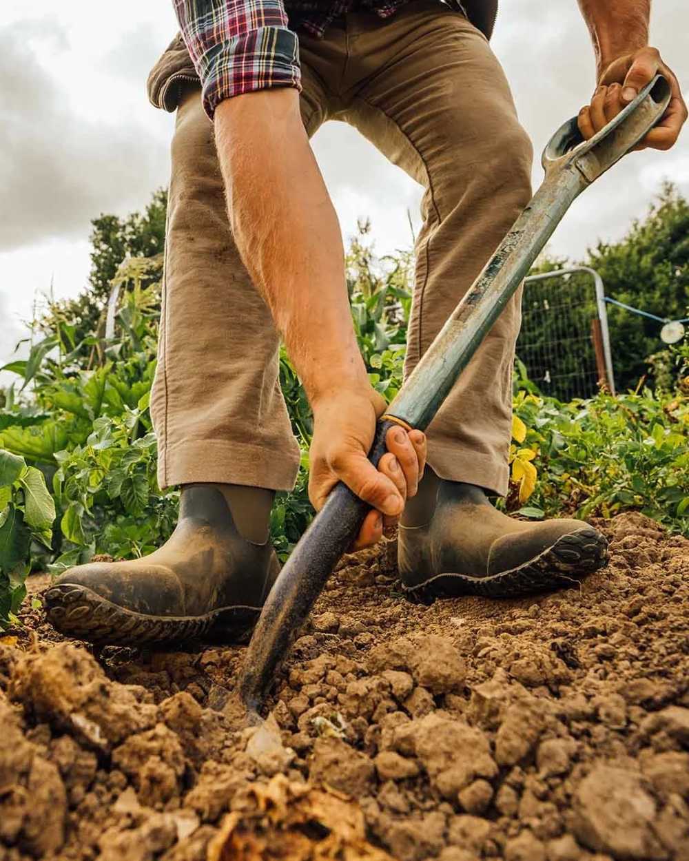 Moss Coloured Muck Boots Mens RHS Muckster II Ankle Boots On A Field Background
