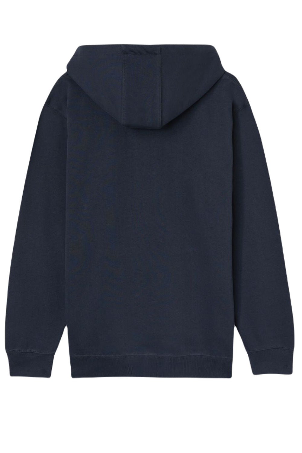 Dickies Towson Graphic Hoodie in Navy Blue