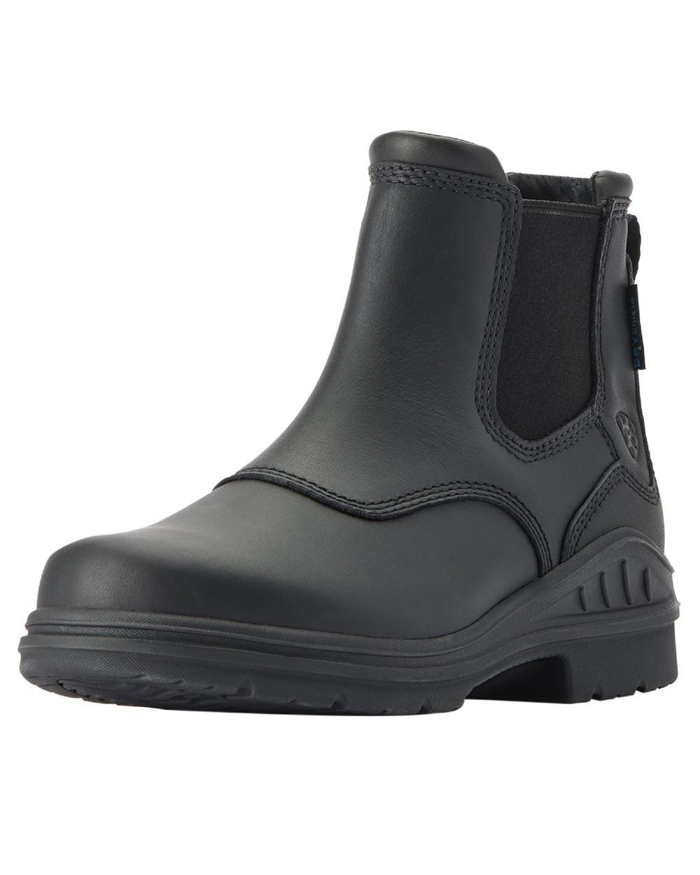 Black coloured Ariat Womens Barnyard Twin Gore II Waterproof Boot on white background 