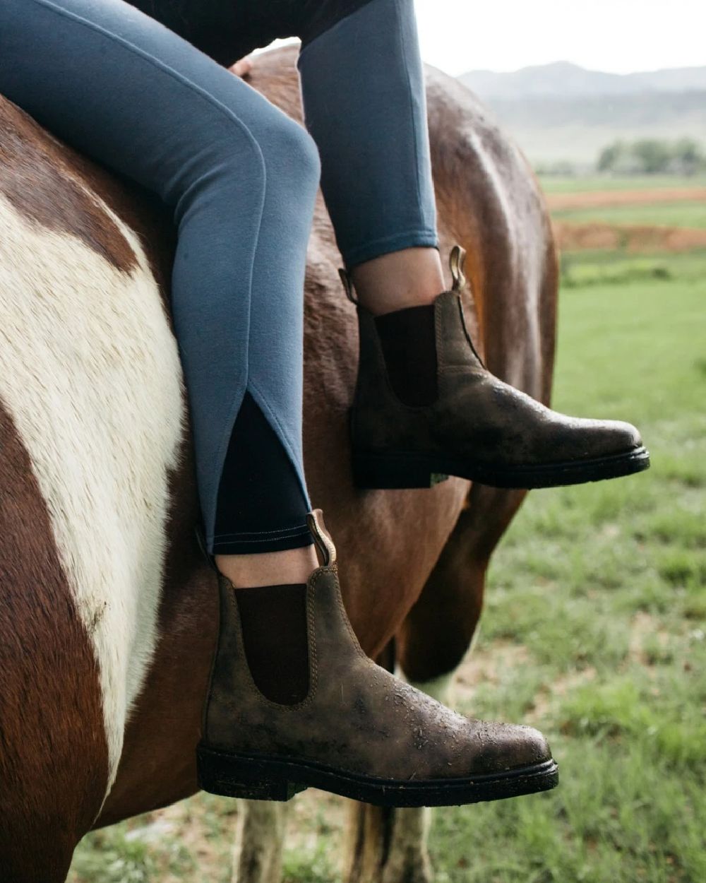 Rustic Brown coloured Blundstone 1306 Rustic Brown Chelsea Boots on horse background 