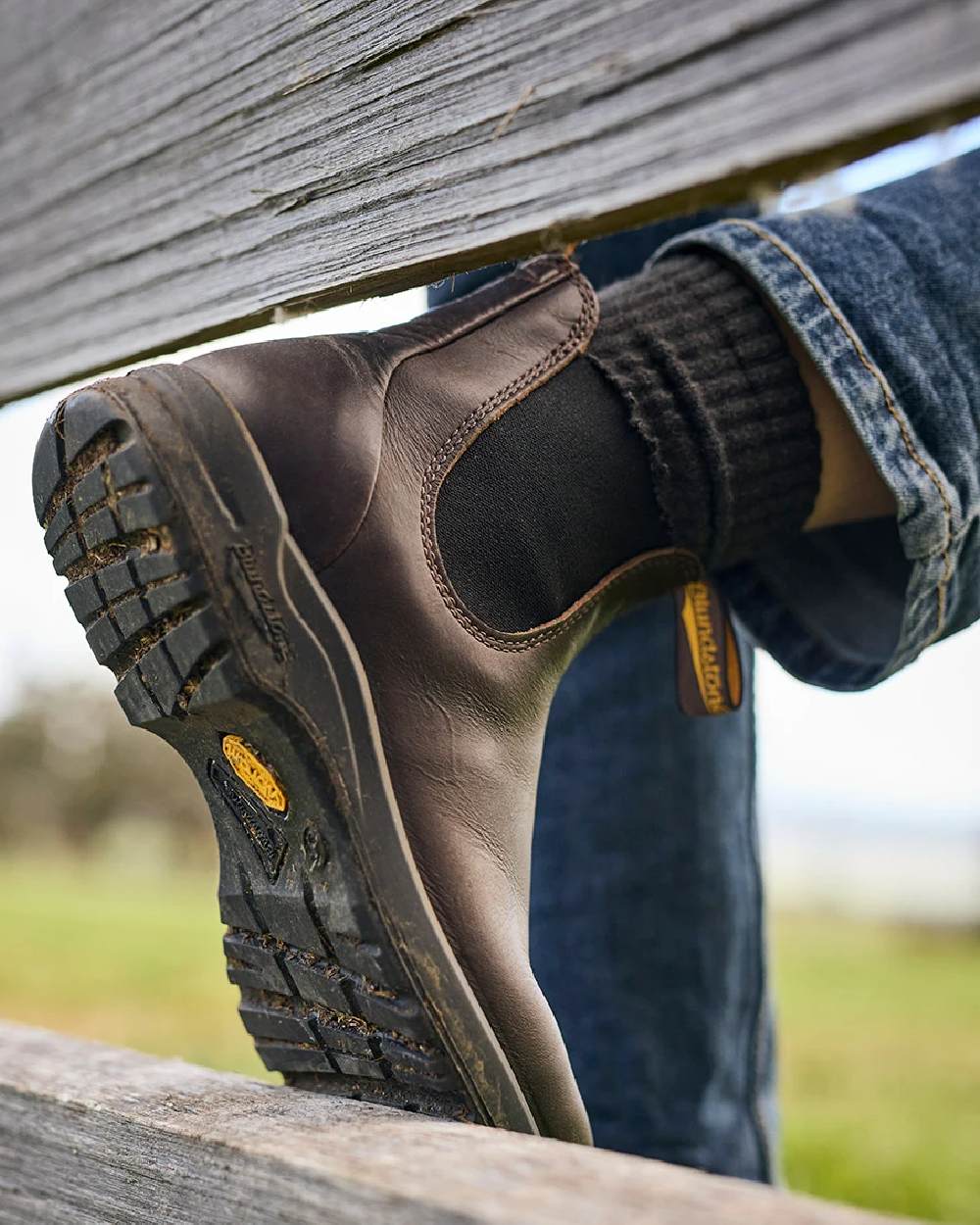 Cocoa Brown Coloured Blundstone 2057 Cocoa Brown Chelsea Boots on  outdoor background 