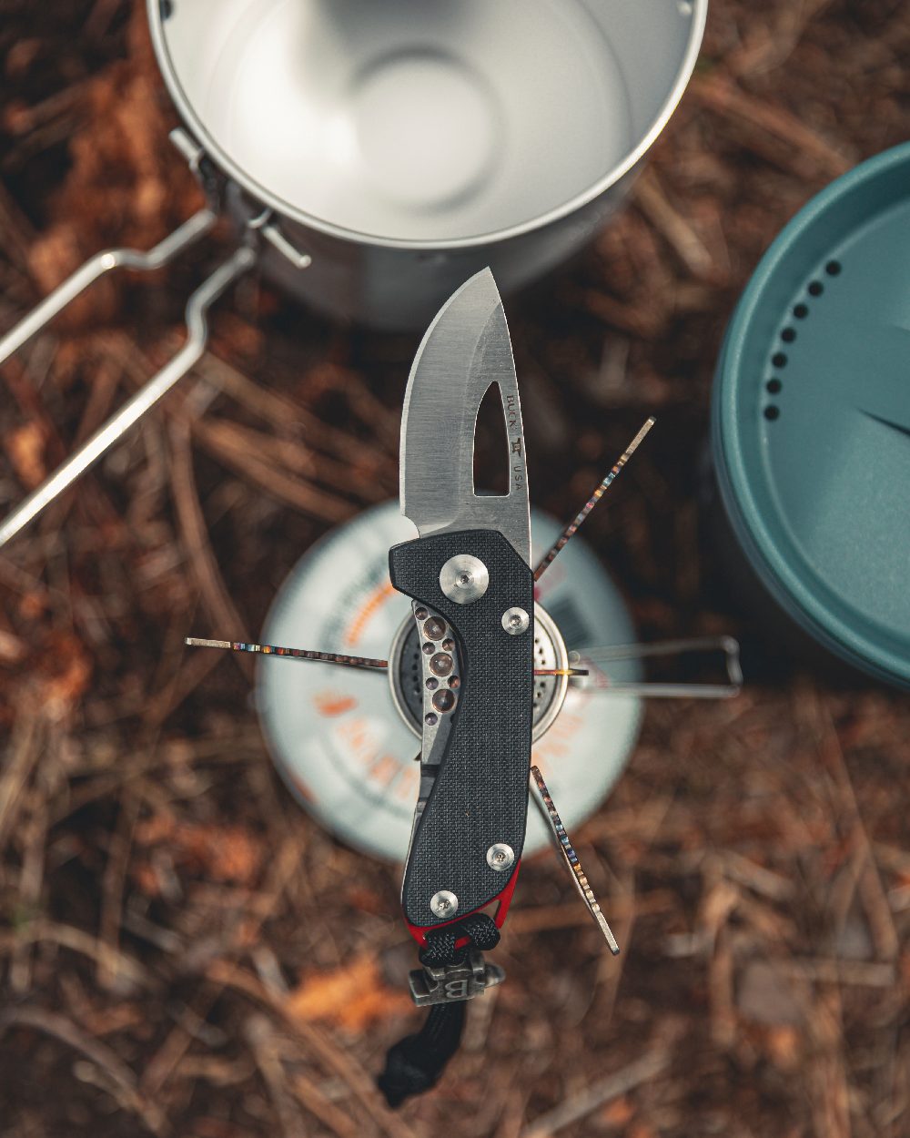 Black coloured Buck Budgie Knife on forest background 