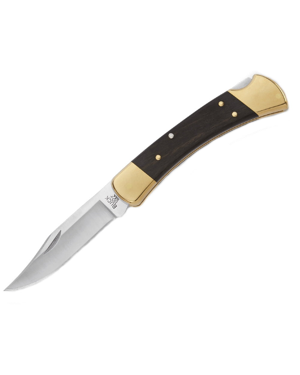 Buck Folding Hunter Knife on white background