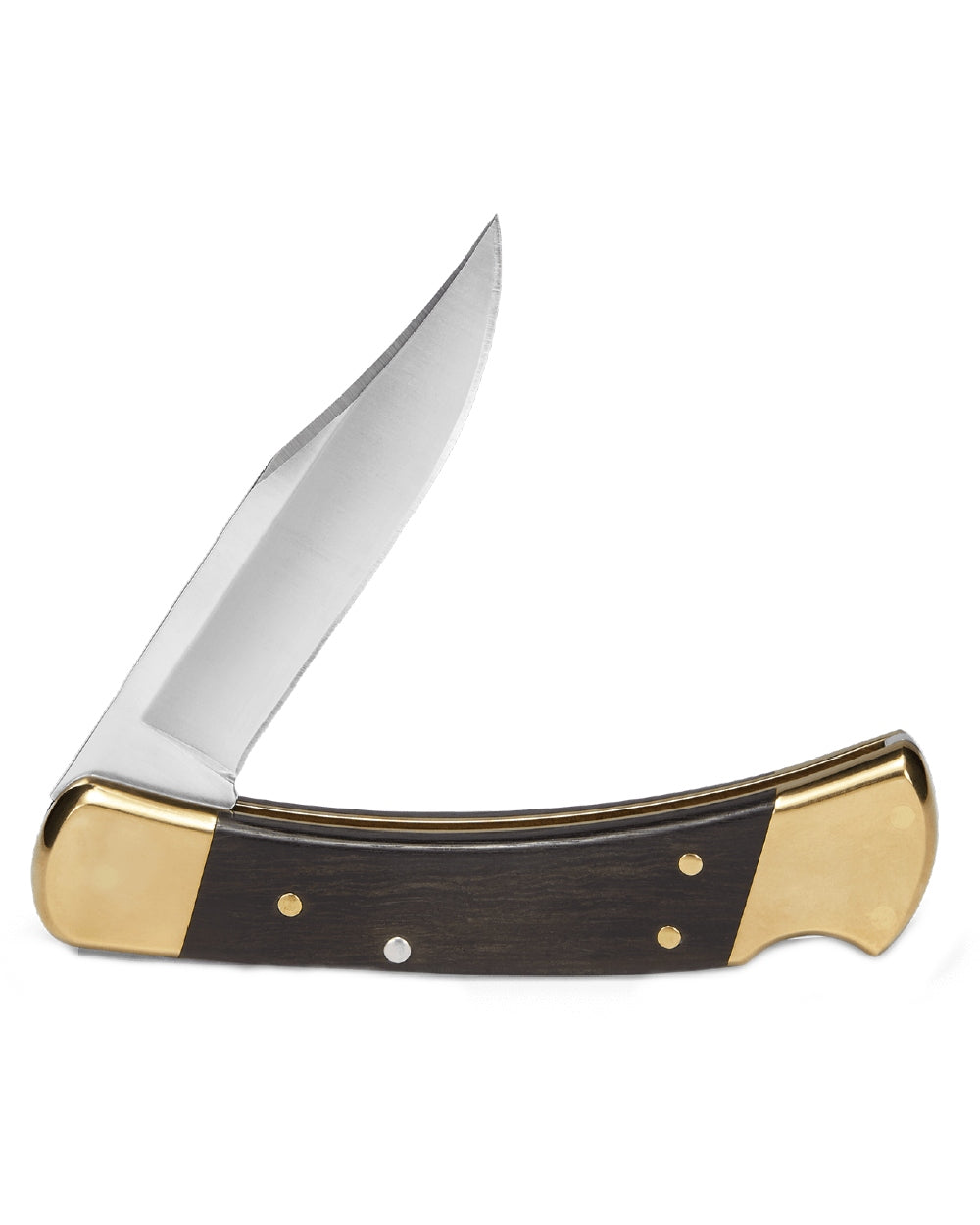 Buck Folding Hunter Knife on white background