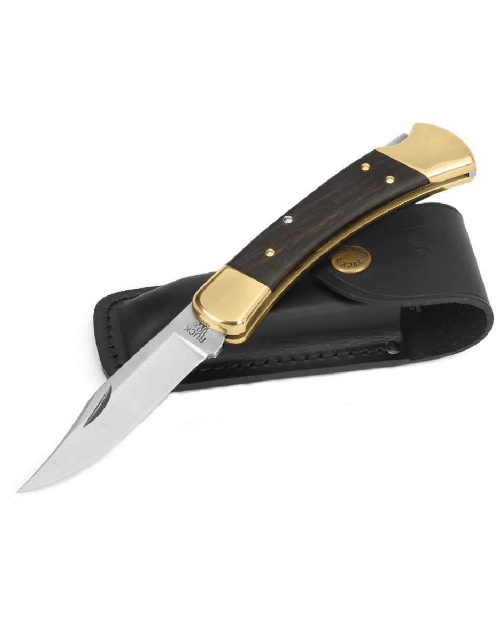 Buck Folding Hunter Knife on white background