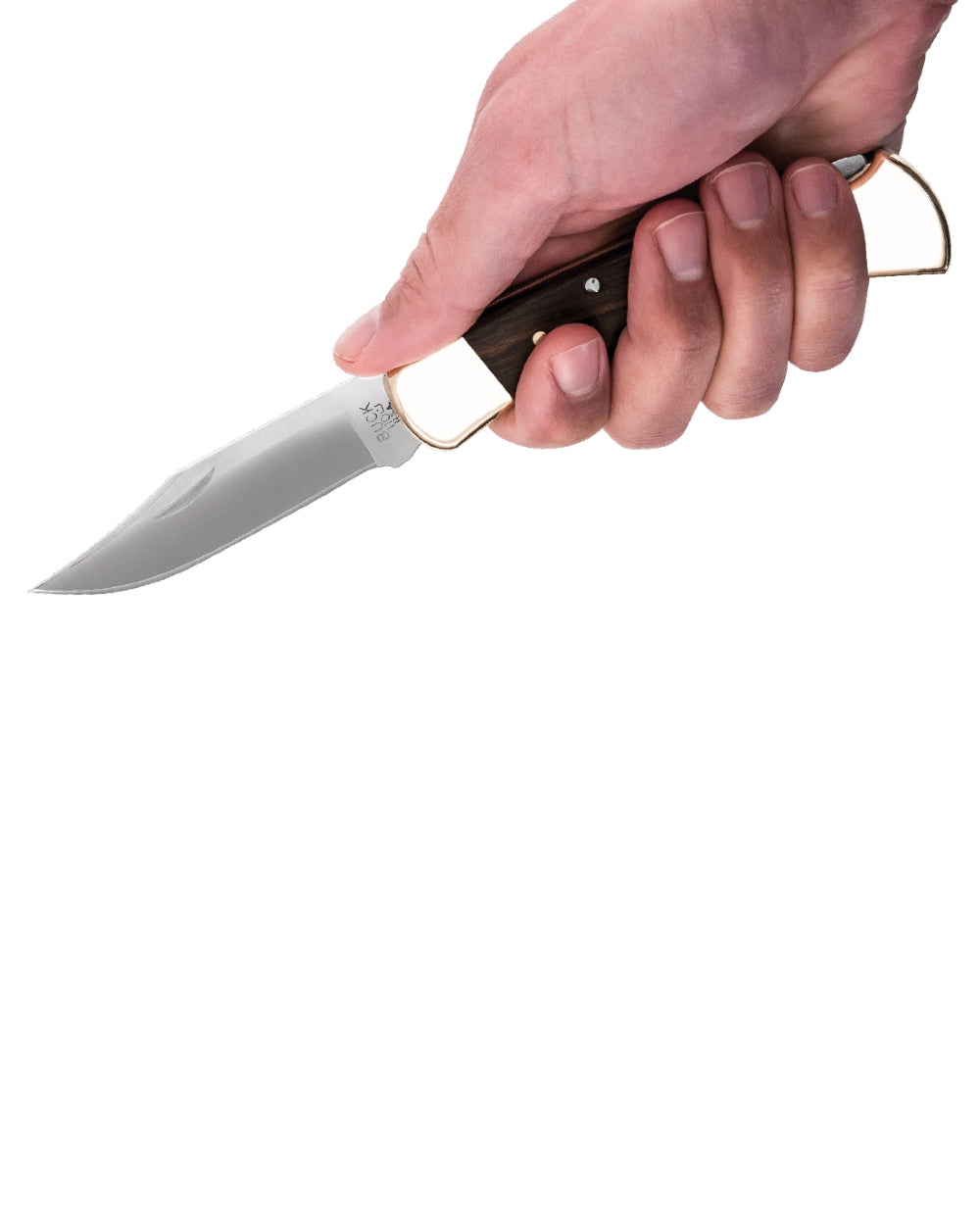 Buck Folding Hunter Knife on white background