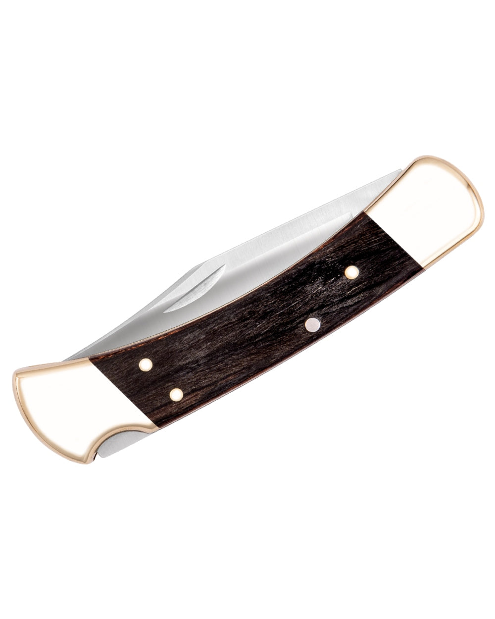 Buck Folding Hunter Knife on white background