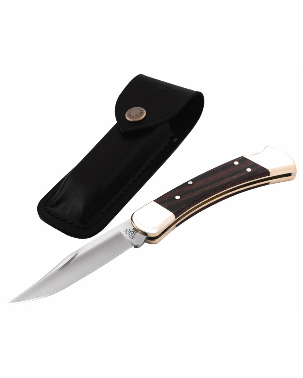 Buck Folding Hunter Knife on white background