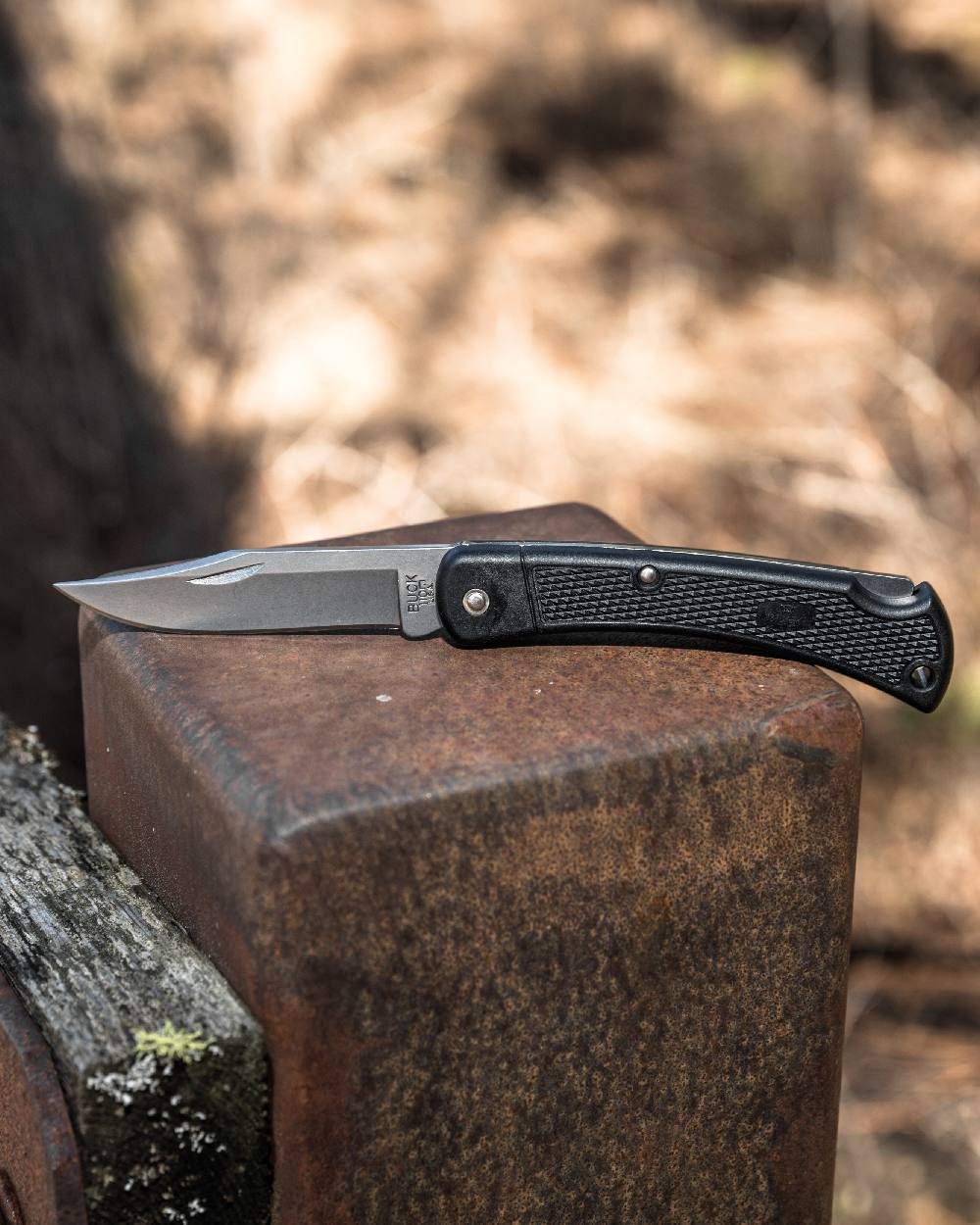 Buck Folding Hunter Lightweight Knife on forest background