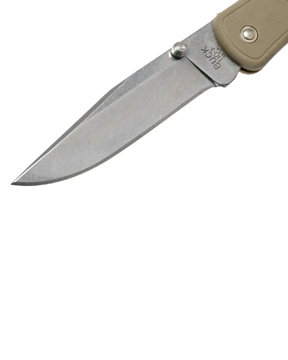 Tan coloured Buck Folding Hunter Slim Knife on white background 