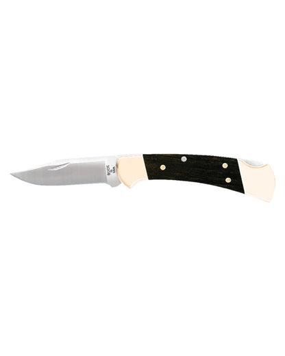 Buck Ranger Knife on white background