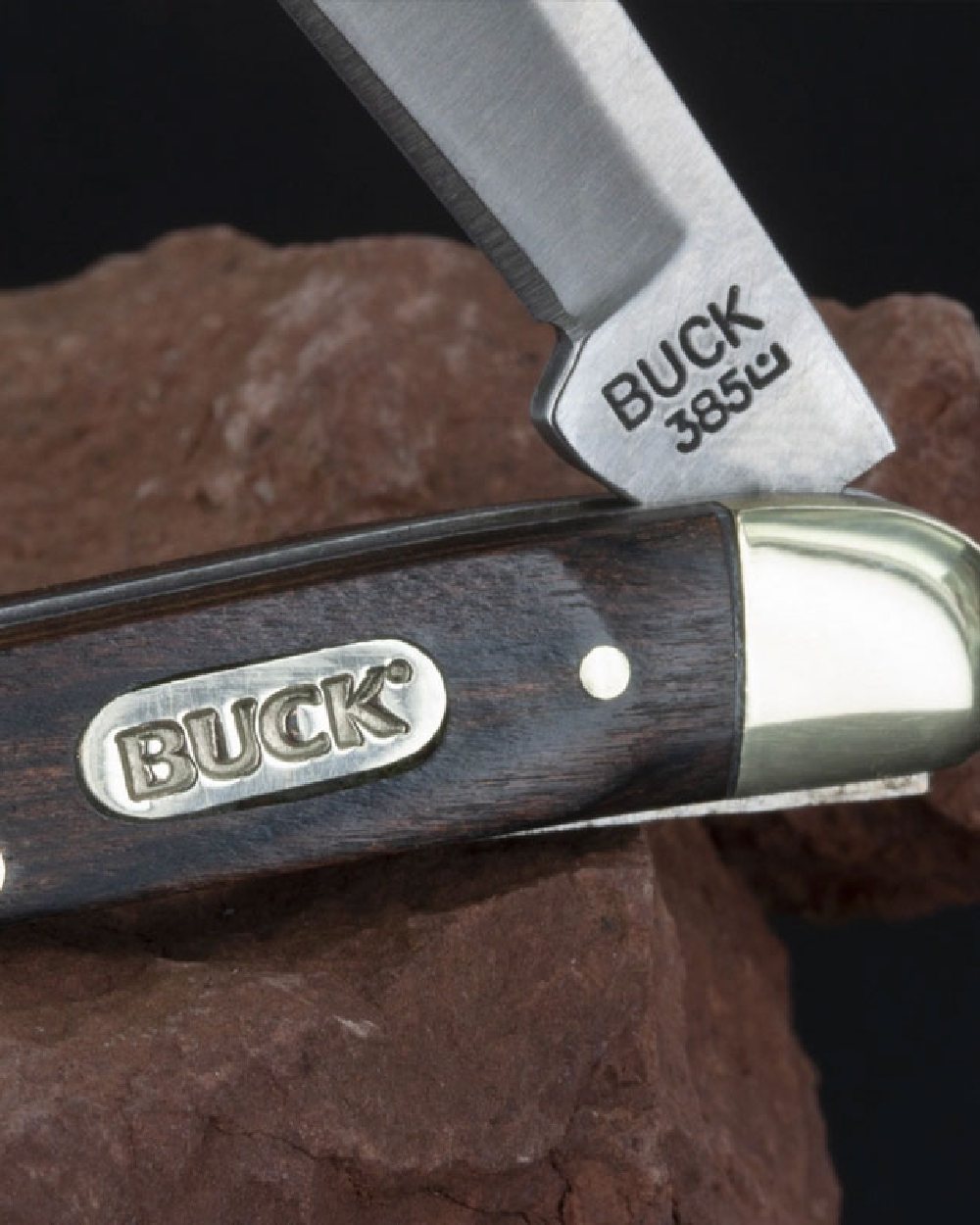 Buck Toothpick Knife on black background