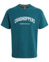 Dark Aegean Blue Coloured Craghoppers Expert Mens Batley Workwear T-Shirt on white background 