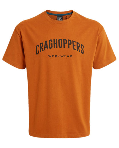 Potters Clay Coloured Craghoppers Expert Mens Batley Workwear T-Shirt on white background 