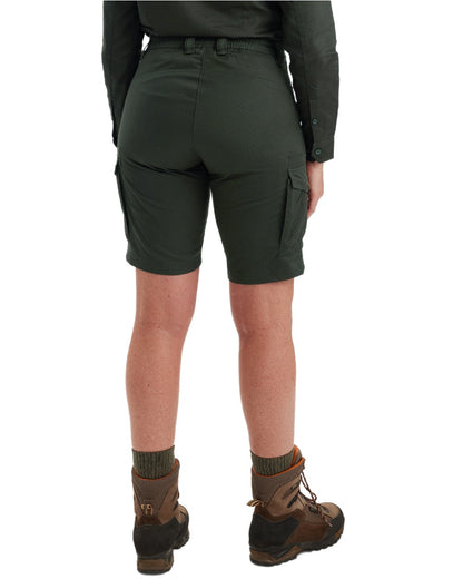 Timber coloured Deerhunter Lady Atlas Shorts on white background 