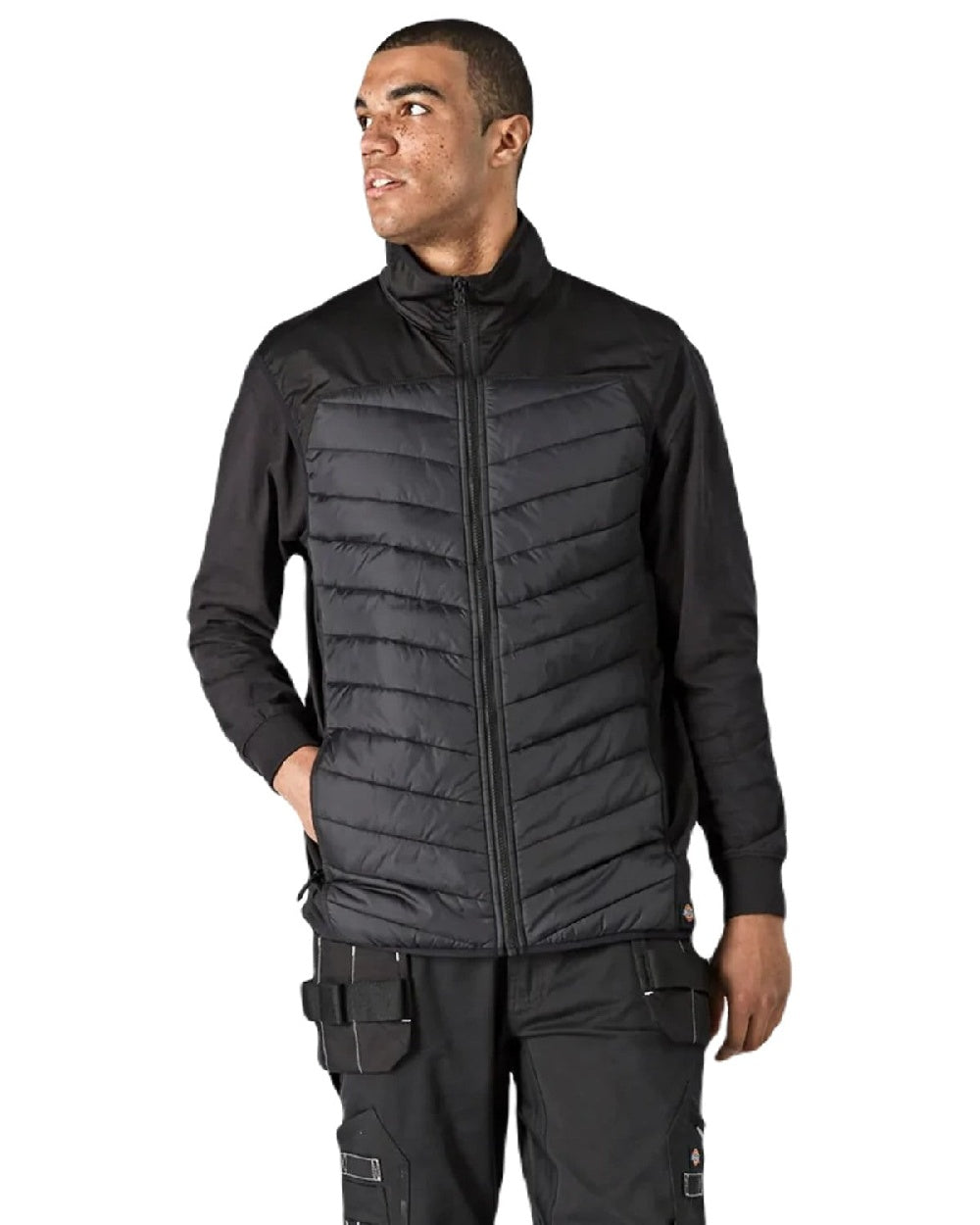 Black coloured Dickies Generation Waterproof Hybrid Bodywarmer on white background