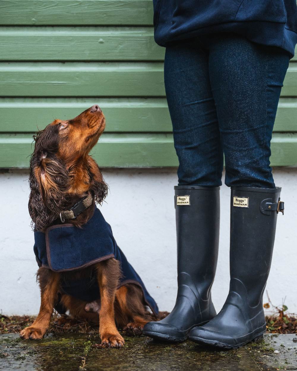 Navy Coloured Hoggs of Fife Braemar Wellingtons on countryside background 