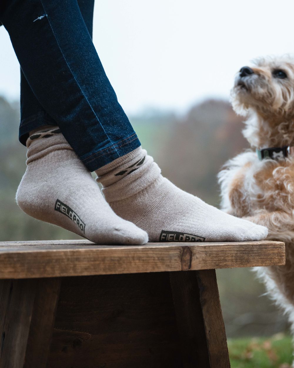 Hoggs of Fife Field Pro Country Socks Triple Pack On Outdoor Background