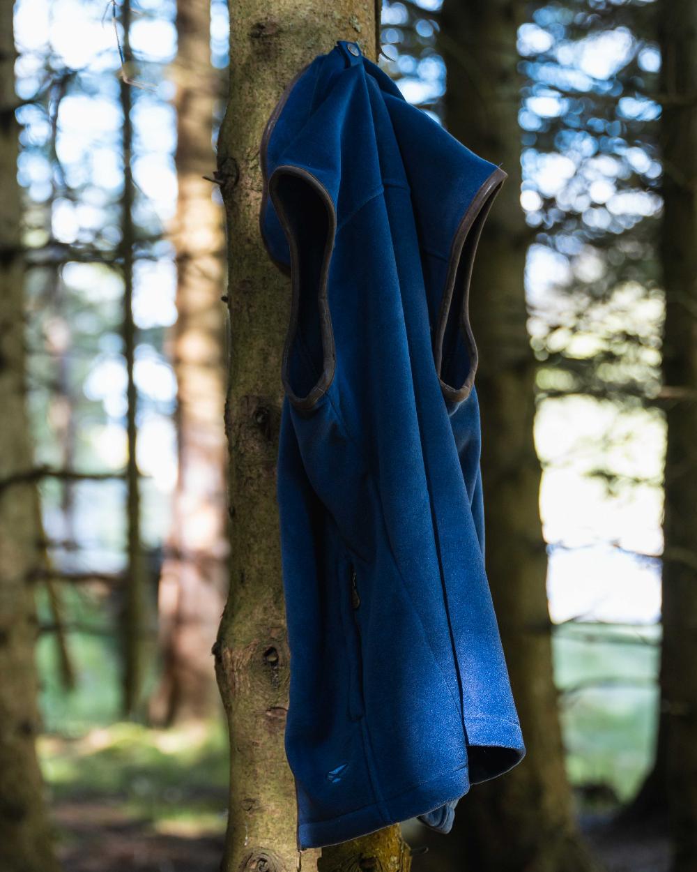 Nordic Blue coloured Hoggs of Fife Stenton Technical Fleece Gilet on forest background 