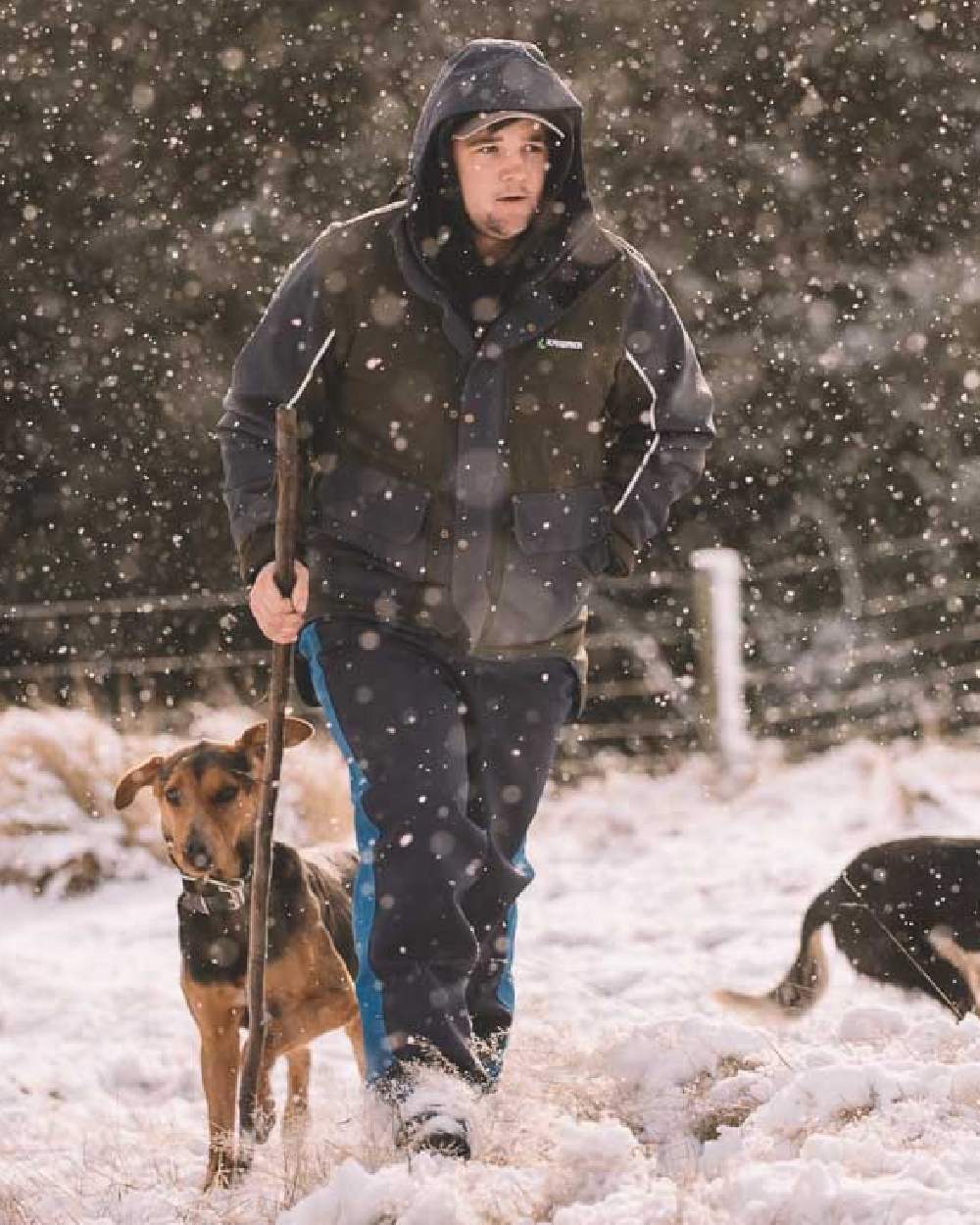 Olive coloured Kaiwaka Mens Stormforce Winter Jacket on snow background 