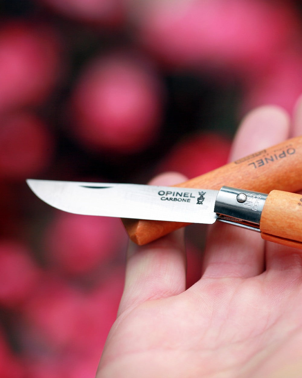 Carbon Steel coloured Opinel Classic Originals Non-Locking Knife on blurry background 