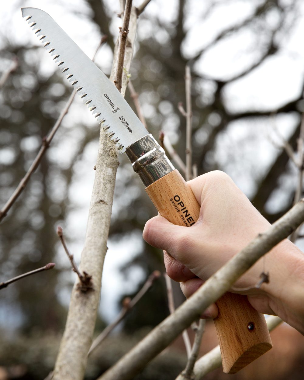 Opinel No.18 Folding Saw Boxed on forest background