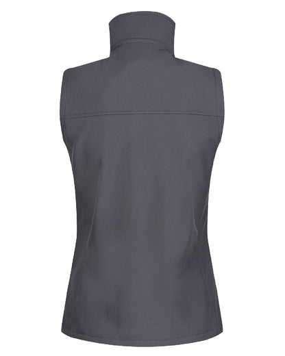Seal Grey coloured Regatta Professional Womens Flux Softshell Bodywarmer on white background 