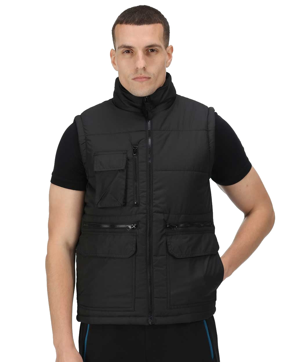 Black coloured Regatta Steller Multi-Zip Ripstop Bodywarmer on white background 