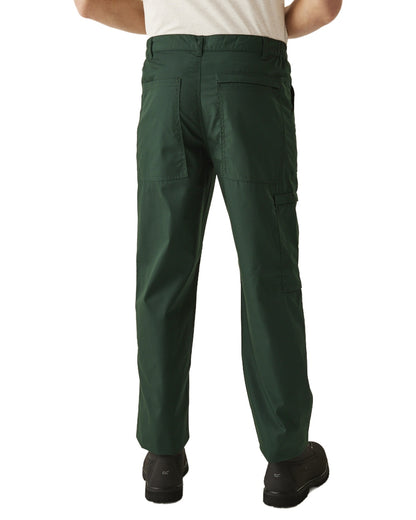Green coloured Regatta Mens Multi Pocket Action Trousers Short Leg on white background 