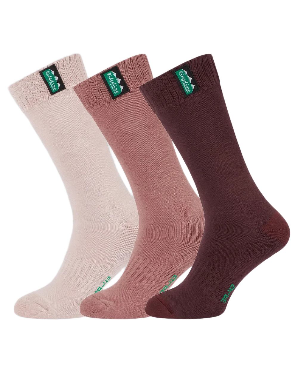 Oxblood Multi Coloured Ridgeline Cotton Work Socks Mid Length On A White Background 