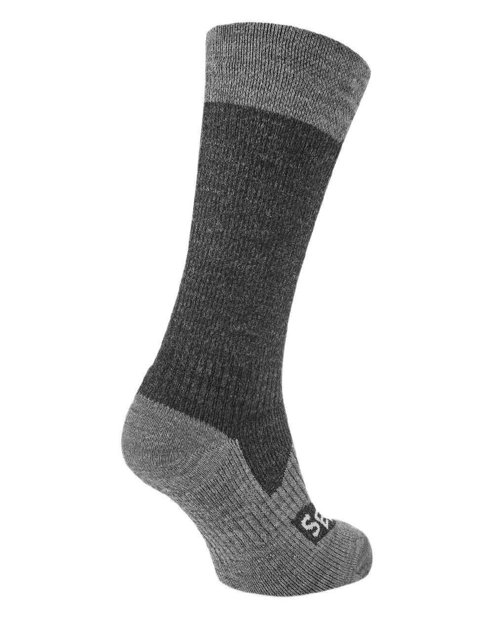 Black Coloured Sealskinz Raynham Waterproof All Weather Mid Length Sock on white background 