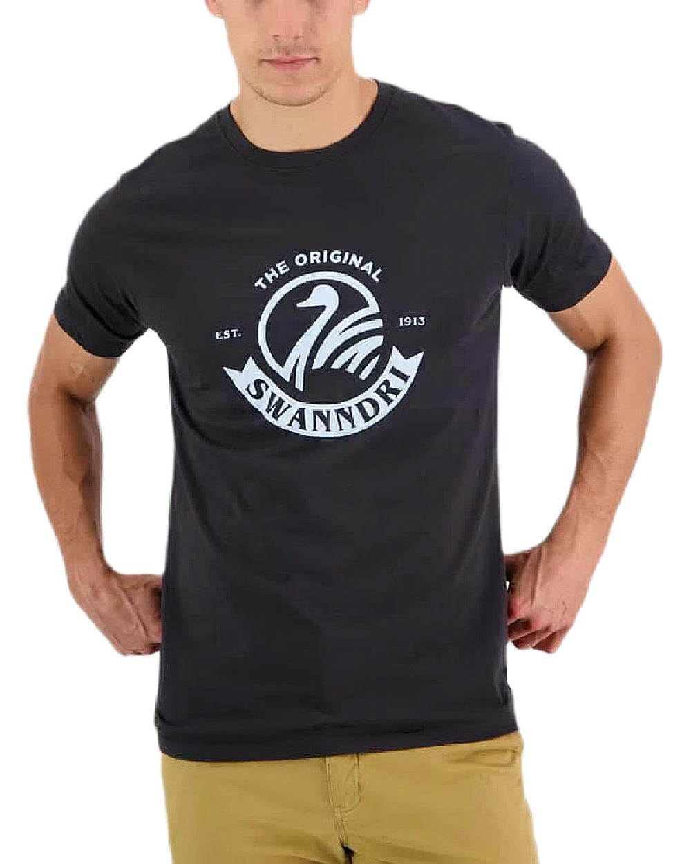 Washed Black Powder Coloured Swanndri Mens Original Print T Shirt on white background 