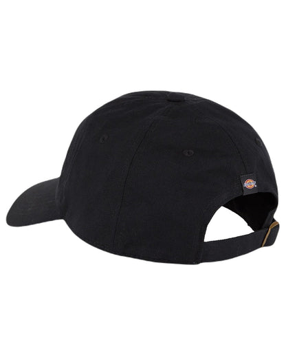 Black Coloured Dickies Everyday Twill Cotton Cap on White Background
