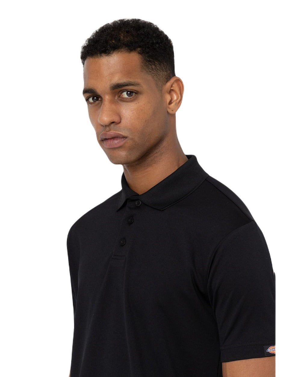 Black Coloured Dickies Mens Everyday Polo Shirt on White Background
