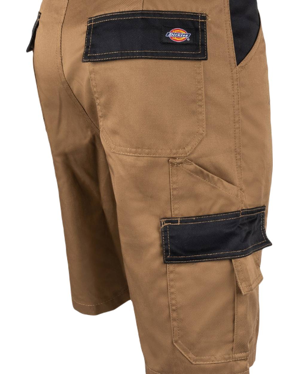 Antique Penny Black Coloured Dickies Mens Everyday Shorts on White Background
